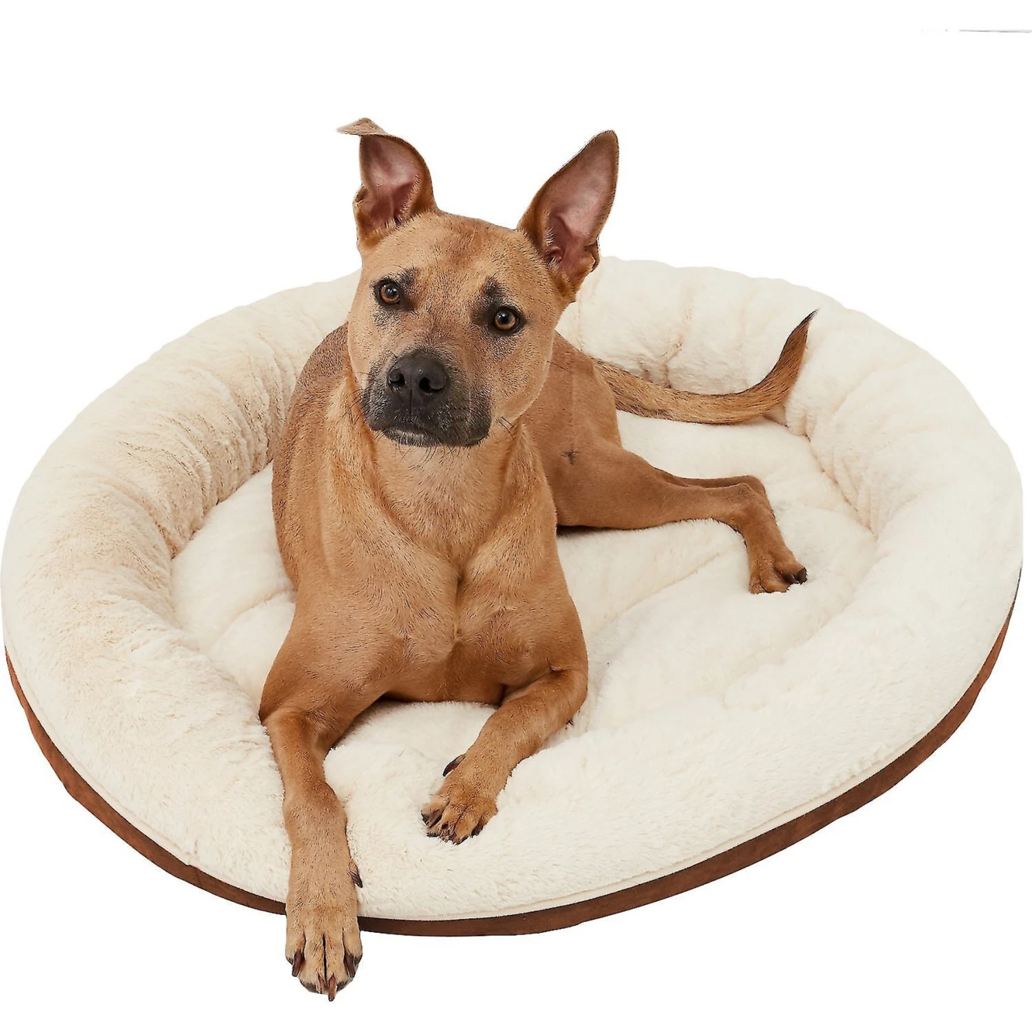 Frisco Round Bolster Cat & Dog Bed 1 Frisco Round Bolster Cat & Dog Bed
