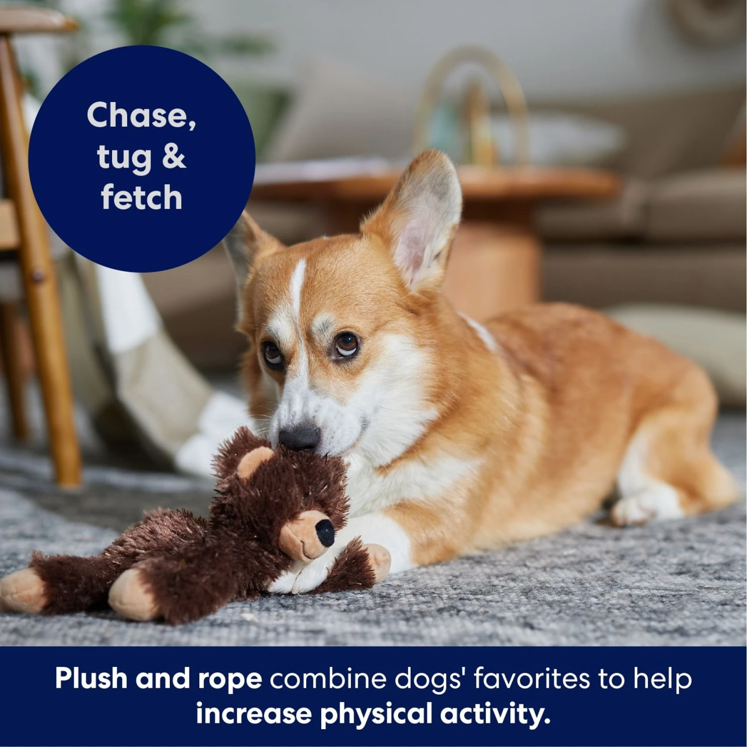 Frisco Bear Plush With Inside Rope Squeaky Dog Toy 5 Frisco Bear Plush With Inside Rope Squeaky Dog Toy - Image 5