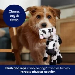 Frisco Cow Plush With Inside Rope Squeaky Dog Toy 10 Frisco Cow Plush With Inside Rope Squeaky Dog Toy -Frisco 147063 PT5. AC SS1800 V1691776574