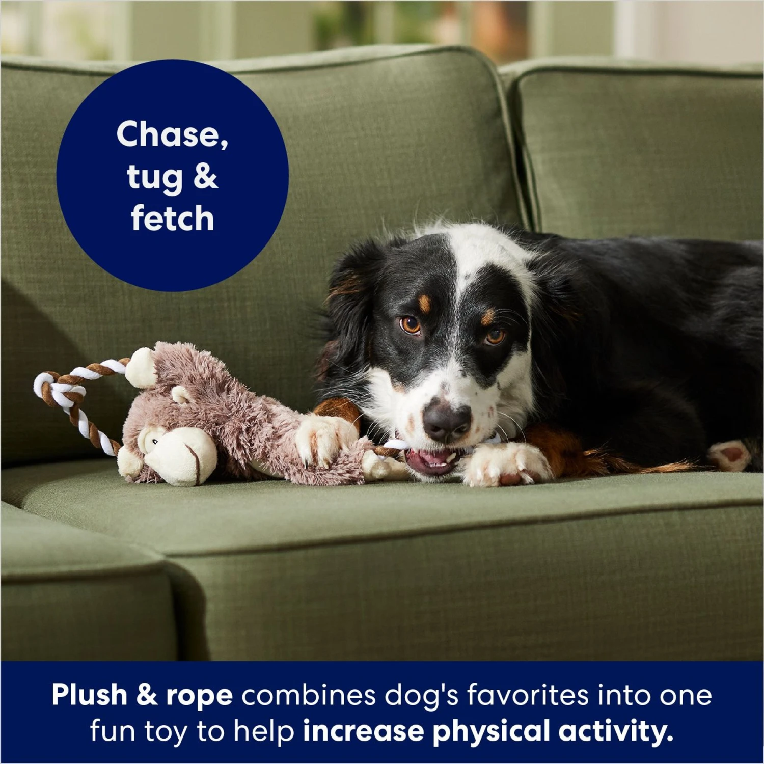 Frisco Monkey Plush With Rope Squeaky Dog Toy 4 Frisco Monkey Plush With Rope Squeaky Dog Toy - Image 4