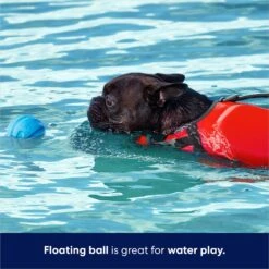 Frisco Foam Rubber Floating Fetch Ball No Squeak Dog Toy 9 Frisco Foam Rubber Floating Fetch Ball No Squeak Dog Toy -Frisco 152798 PT3. AC SS1800 V1686579688