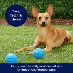 Frisco Foam Rubber Floating Fetch Ball No Squeak Dog Toy 10 Frisco Foam Rubber Floating Fetch Ball No Squeak Dog Toy -Frisco 152798 PT4. AC SS1800 V1686579140