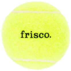 Frisco Fetch Squeaky Tennis Ball Dog Toy