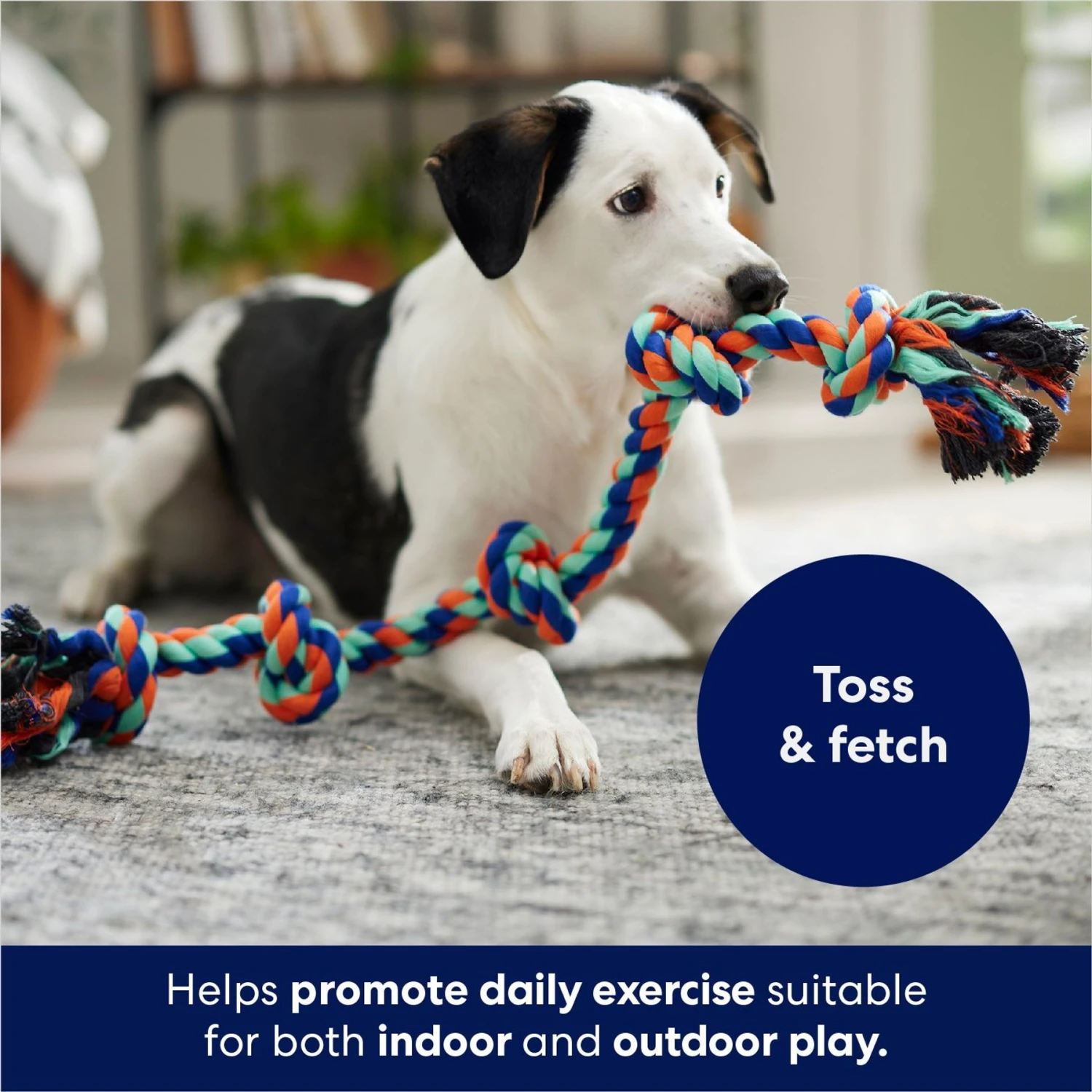 Frisco Rope With 5 Knots Dog Toy 3 Frisco Rope With 5 Knots Dog Toy - Image 3