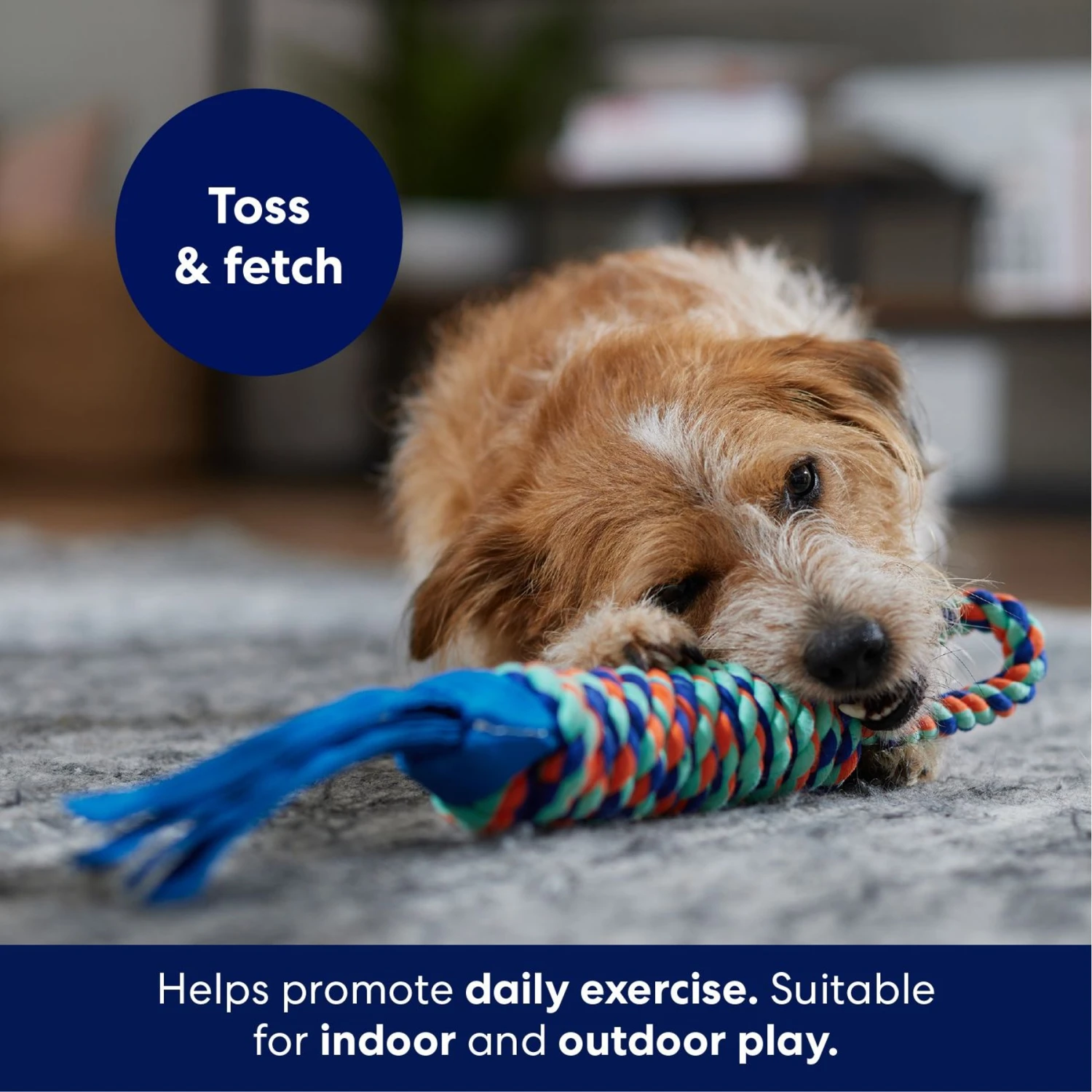 Frisco Rope With Handle & Tassels Dog Toy 3 Frisco Rope With Handle & Tassels Dog Toy - Image 3