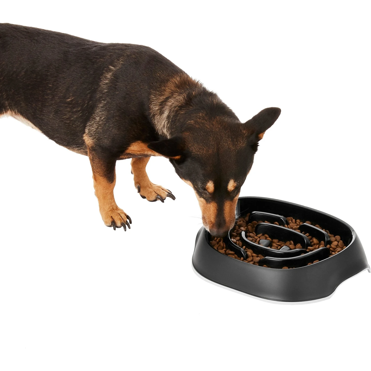 Frisco Non-Skid Slow Feeder Dog & Small Pet Bowl 1 Frisco Non-Skid Slow Feeder Dog & Small Pet Bowl