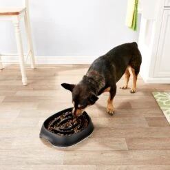 Frisco Non-Skid Slow Feeder Dog & Small Pet Bowl 10 Frisco Non-Skid Slow Feeder Dog & Small Pet Bowl -Frisco 155648 PT4. AC SS1800 V1553538724
