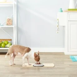 Frisco Non-Skid Stainless Steel Bowl 7 Frisco Non-Skid Stainless Steel Bowl -Frisco 159860 PT3. AC SS1800 V1570543131