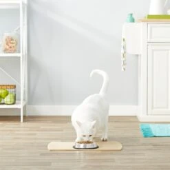 Frisco Non-Skid Stainless Steel Bowl 8 Frisco Non-Skid Stainless Steel Bowl -Frisco 159860 PT4. AC SS1800 V1570543031