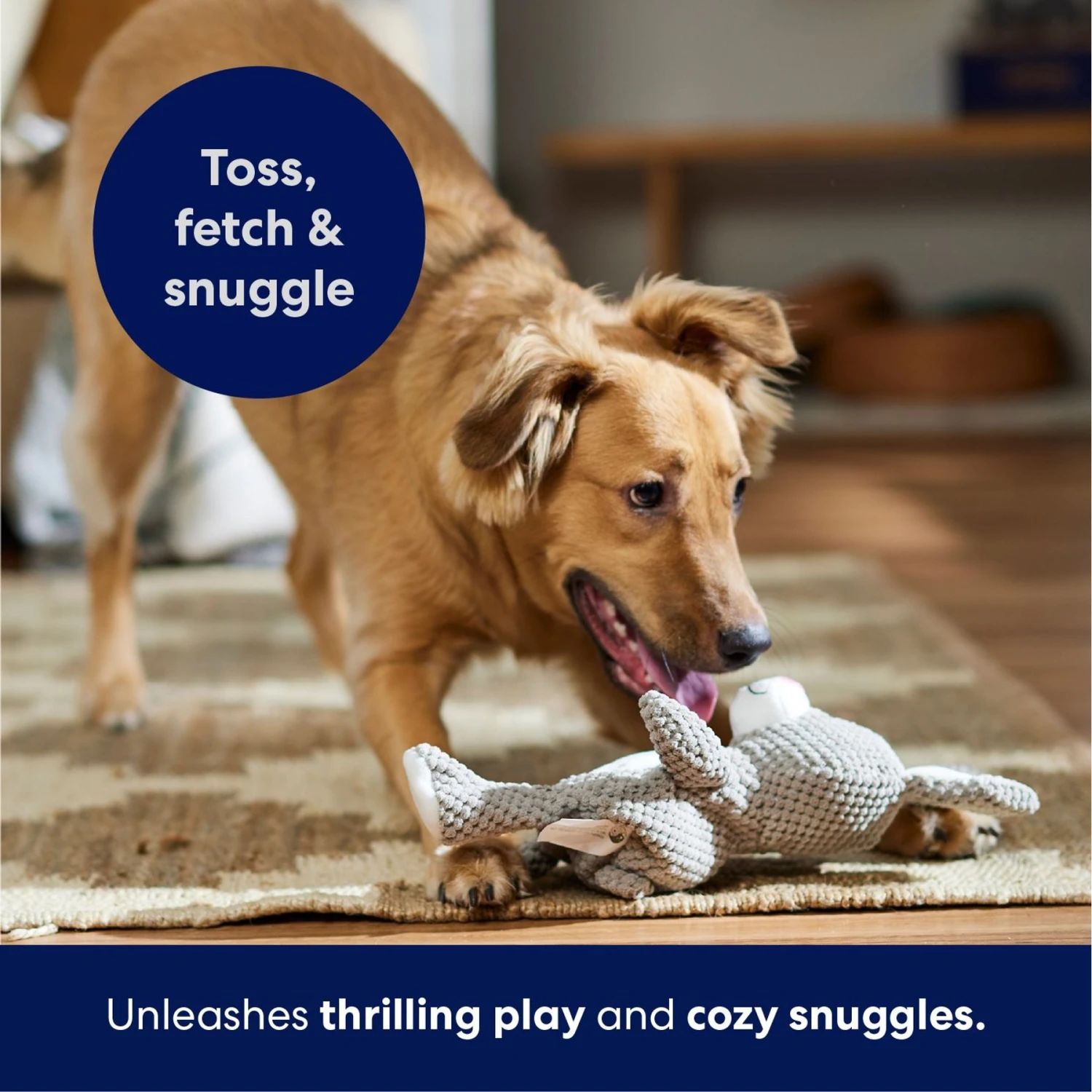 Frisco Bunny Textured Plush Squeaky Dog Toy 5 Frisco Bunny Textured Plush Squeaky Dog Toy - Image 5