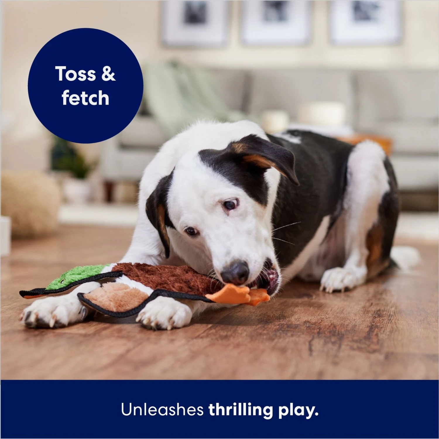 Frisco Mallard Stuffing-Free Flat Plush Squeaky Dog Toy 5 Frisco Mallard Stuffing-Free Flat Plush Squeaky Dog Toy - Image 5