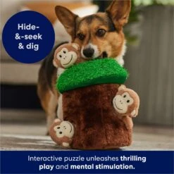 Frisco Monkeys In Tree Hide & Seek Puzzle Plush Squeaky Dog Toy -Frisco 174759 PT5. AC SS1800 V1702598595