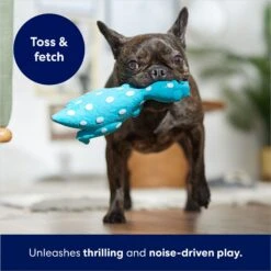 Frisco Dinosaur Latex Squeaky Dog Toy 8 Frisco Dinosaur Latex Squeaky Dog Toy -Frisco 174770 PT3. AC SS1800 V1686579138