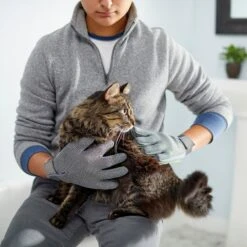 Frisco Dog & Cat Adjustable Grooming Gloves -Frisco 206847 PT6. AC SS1800 V1610768190