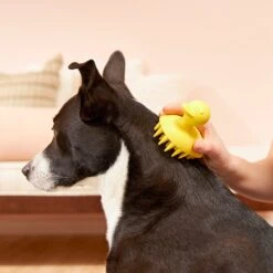 Frisco Rubber Duckie Dog & Cat Curry Brush 8 Frisco Rubber Duckie Dog & Cat Curry Brush -Frisco 206849 PT4. AC SS1800 V1680186100