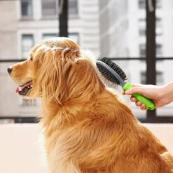 Frisco Cat & Dog Pin Bristle Brush 10 Frisco Cat & Dog Pin Bristle Brush -Frisco 206855 PT6. AC SS1800 V1680186157