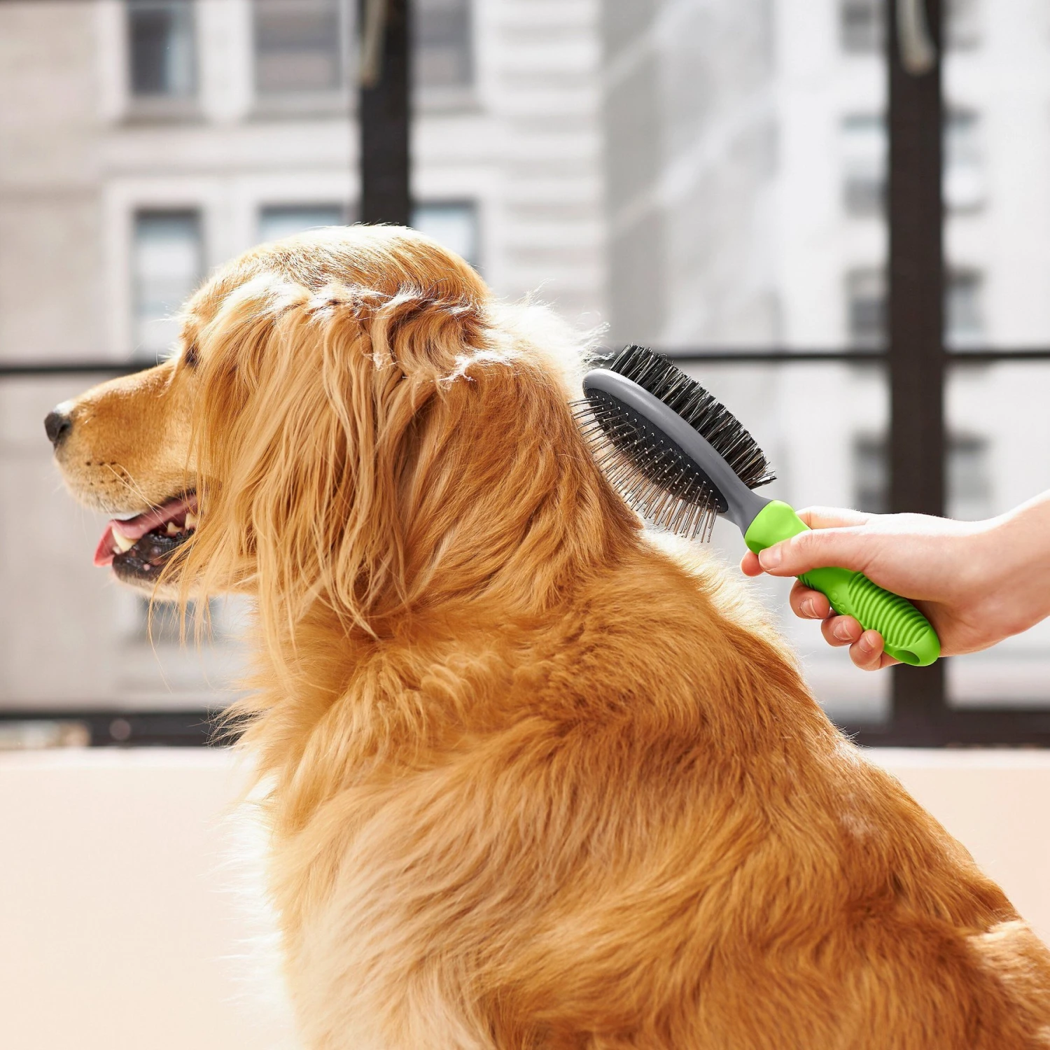 Frisco Cat & Dog Pin Bristle Brush 5 Frisco Cat & Dog Pin Bristle Brush - Image 5