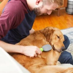 Frisco Cat & Dog Pin Brush -Frisco 206861 PT6. AC SS1800 V1680186099