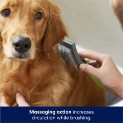 Frisco Self-Cleaning Slicker Dog Brush 10 Frisco Self-Cleaning Slicker Dog Brush -Frisco 206863 PT5. AC SS1800 V1680186156