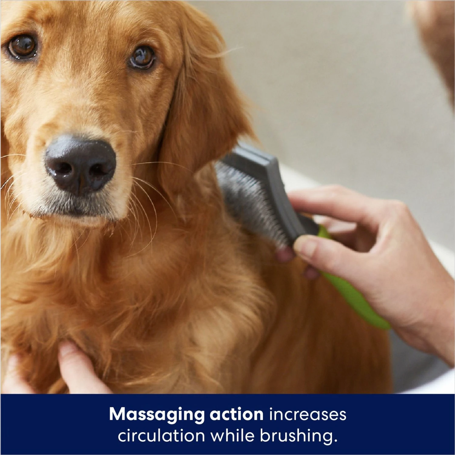 Frisco Self-Cleaning Slicker Dog Brush 5 Frisco Self-Cleaning Slicker Dog Brush - Image 5