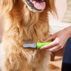 Frisco Dematting Dog Rake, One Size 8 Frisco Dematting Dog Rake, One Size -Frisco 206873 PT6. AC SS1800 V1680186104