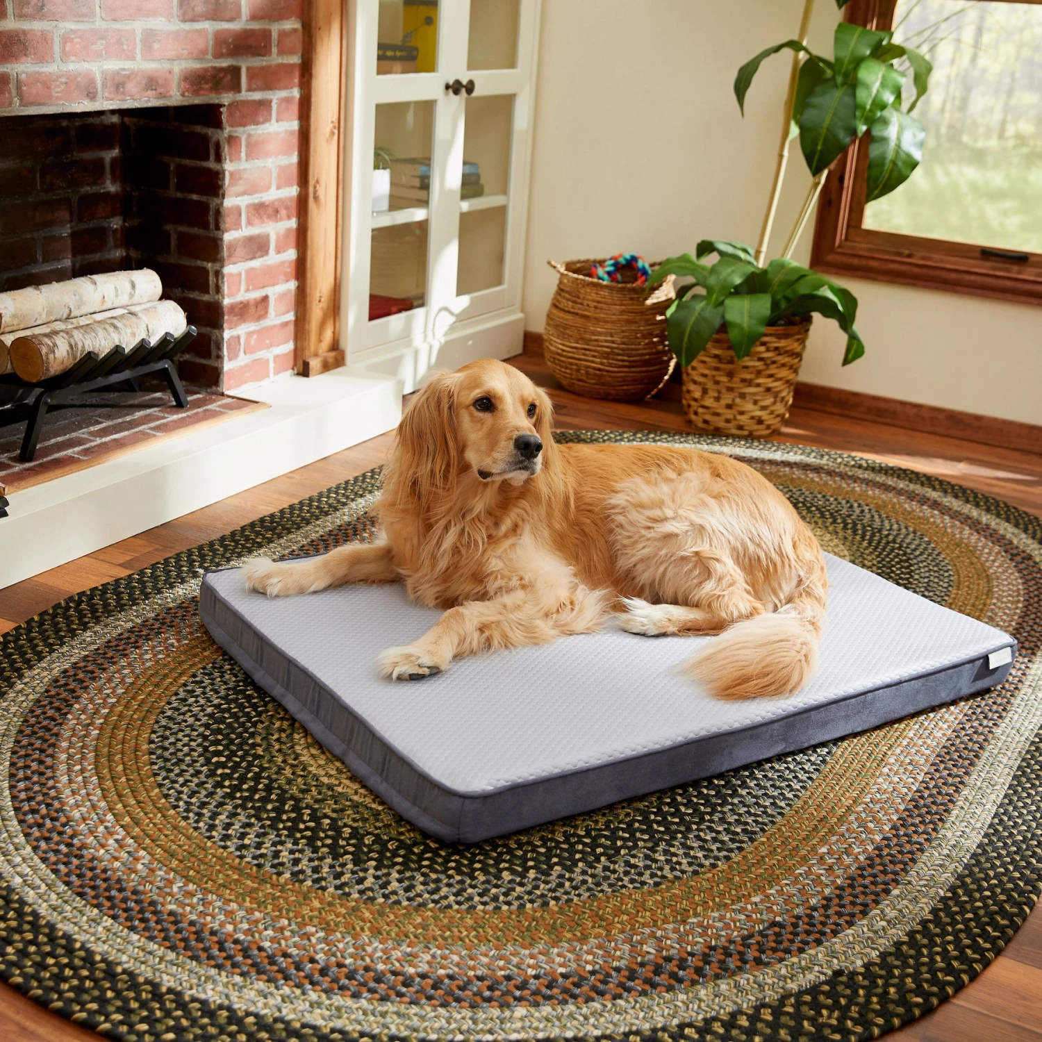 Frisco Cooling Orthopedic Pillow Dog Bed W/Removable Cover 1 Frisco Cooling Orthopedic Pillow Dog Bed W/Removable Cover
