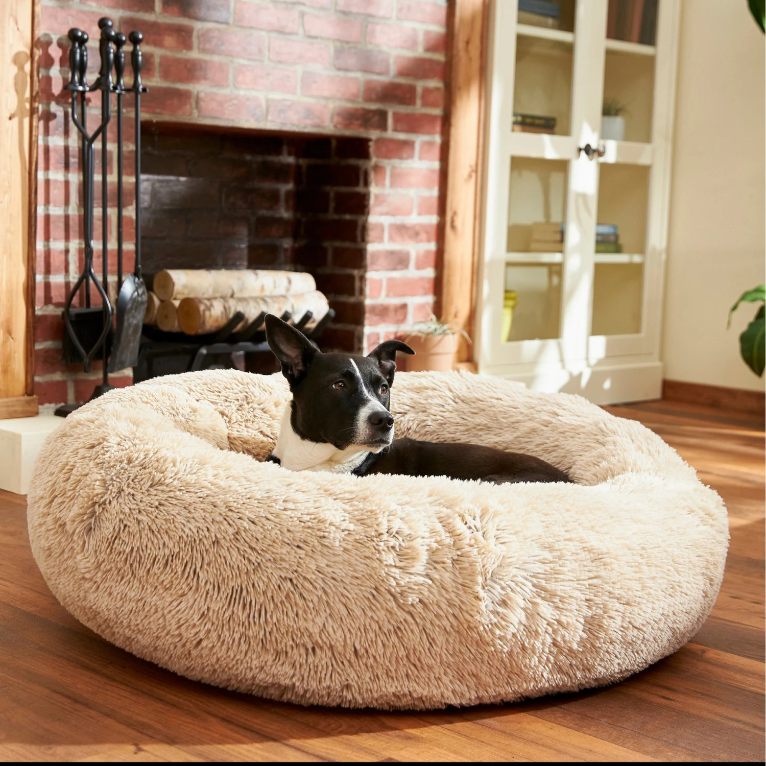 Frisco Eyelash Cat & Dog Bolster Bed 1 Frisco Eyelash Cat & Dog Bolster Bed