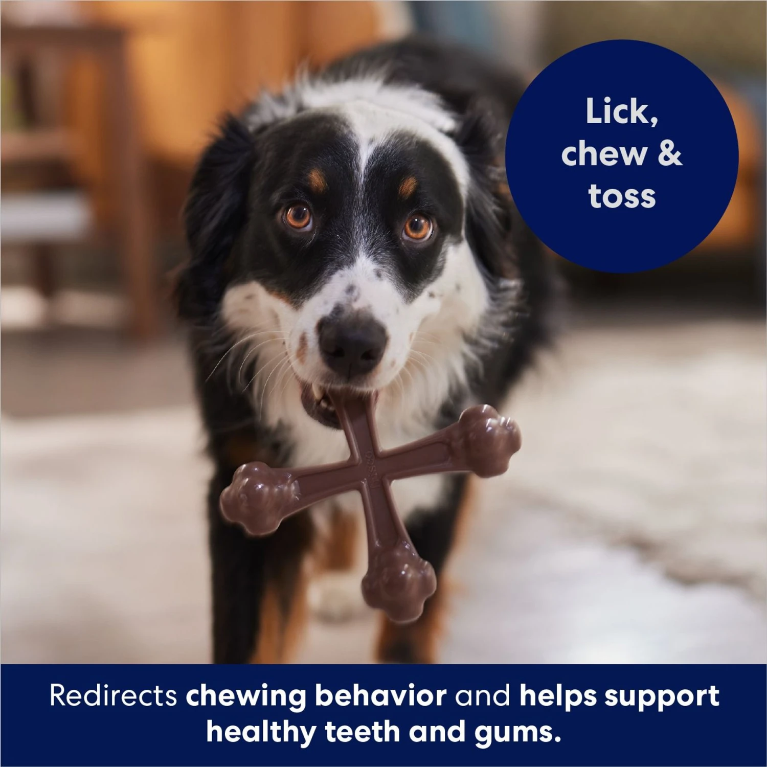 Frisco Bacon Flavor Tough Nylon Dog Chew Toy 5 Frisco Bacon Flavor Tough Nylon Dog Chew Toy - Image 5