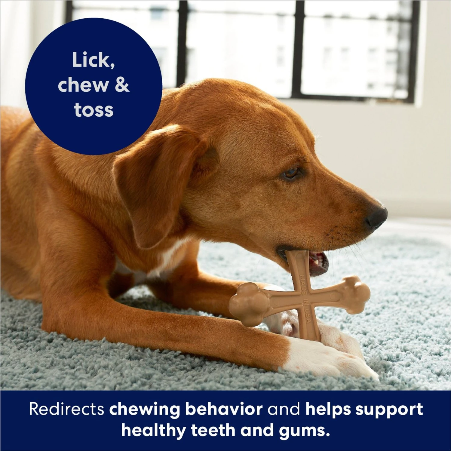 Frisco Peanut Butter Flavor Tough Nylon Dog Chew Toy 5 Frisco Peanut Butter Flavor Tough Nylon Dog Chew Toy - Image 5