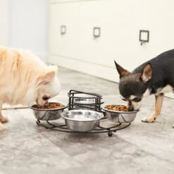 Frisco Multi Pet Feeding 4-Bowls Stainless Steel Dog & Cat Bowls, 0.5 Cup 14 Frisco Multi Pet Feeding 4-Bowls Stainless Steel Dog & Cat Bowls, 0.5 Cup -Frisco 213787 PT7. AC SS1800 V1599090064