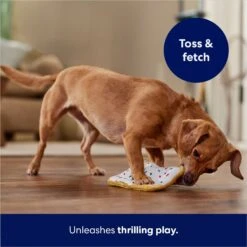 Frisco Frosted Pastry Stuffing-Free Flat Plush Squeaky Dog Toy -Frisco 213812 PT5. AC SS1800 V1686579088