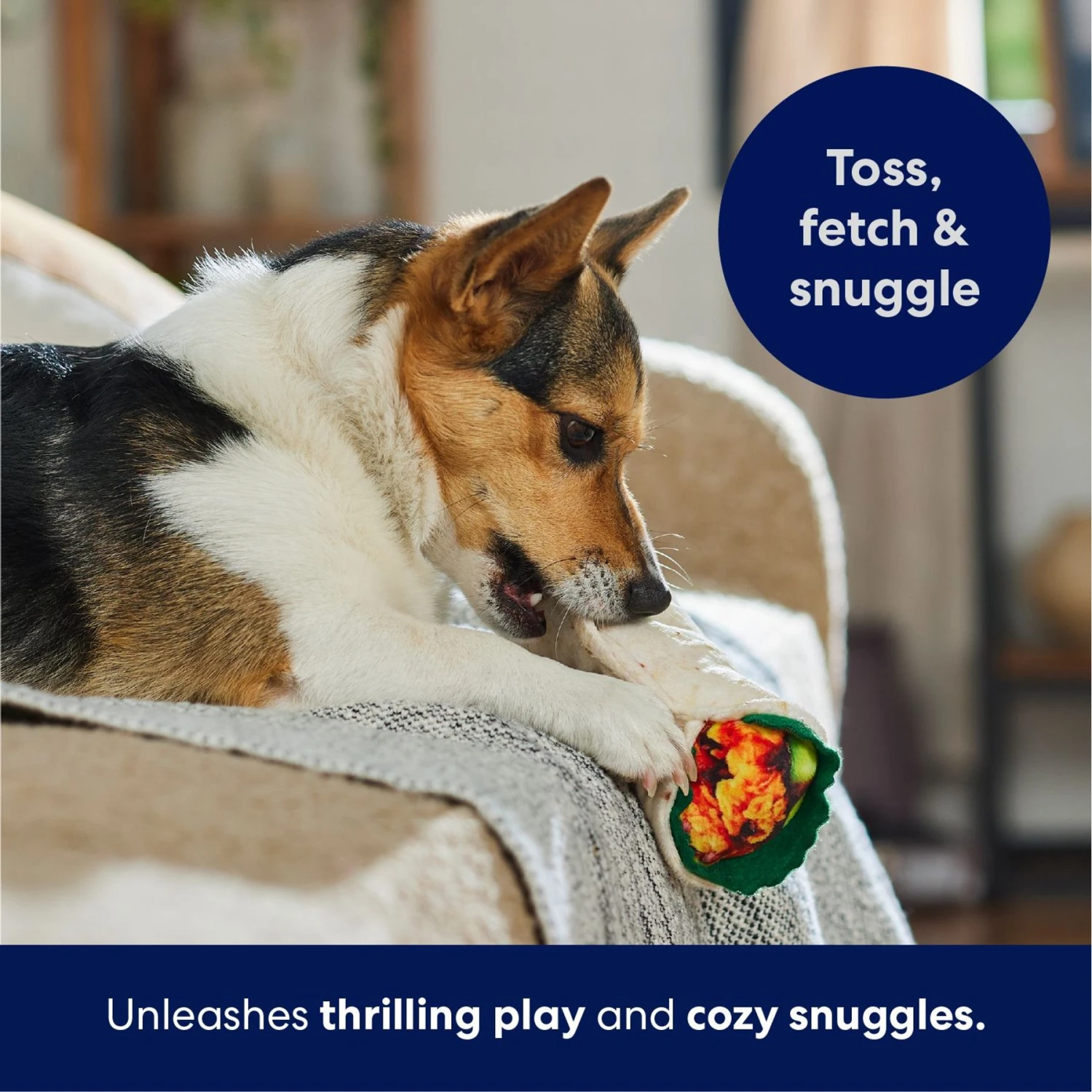 Frisco Burrito Plush Squeaky Dog Toy 5 Frisco Burrito Plush Squeaky Dog Toy - Image 5