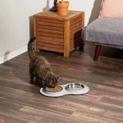 Frisco Double Stainless Steel Pet Bowl With Silicone Mat -Frisco 215986 PT6. AC SS1800 V1605657710