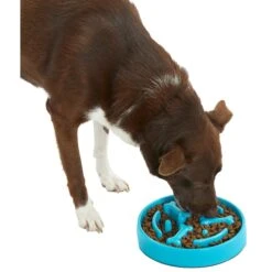 Frisco Bone Shaped Ridges Slow Feed Bowl 10 Frisco Bone Shaped Ridges Slow Feed Bowl -Frisco 216041 PT6. AC SS1800 V1605664049