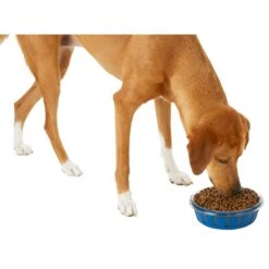 Frisco Chevron Design Glass Bowl With Silicone Sleeve 11 Frisco Chevron Design Glass Bowl With Silicone Sleeve -Frisco 216049 PT6. AC SS1800 V1605654757