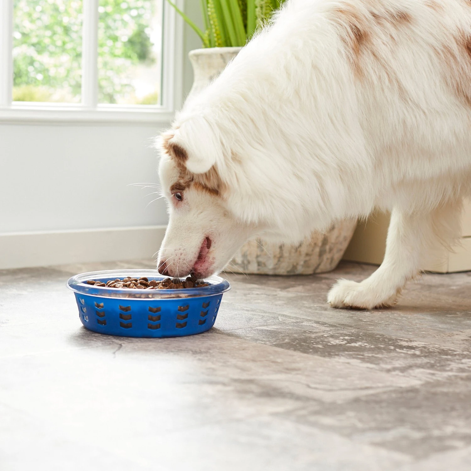 Frisco Chevron Design Glass Bowl With Silicone Sleeve 6 Frisco Chevron Design Glass Bowl With Silicone Sleeve - Image 6