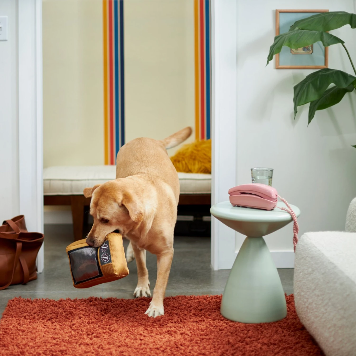 Frisco Retro Television Ballistic Nylon Plush Squeaky Dog Toy 3 Frisco Retro Television Ballistic Nylon Plush Squeaky Dog Toy - Image 3