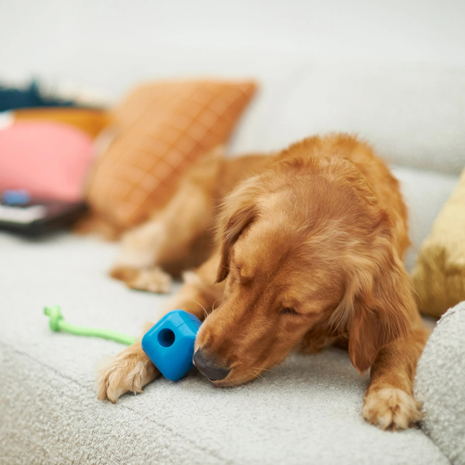 Frisco Retro PC Mouse Rubber Tug & Fetch Dog Toy 3 Frisco Retro PC Mouse Rubber Tug & Fetch Dog Toy - Image 3