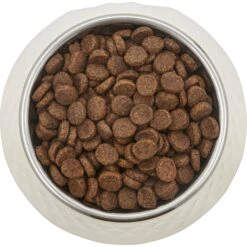 Frisco Hammered Melamine Stainless Steel Dog Bowl 9 Frisco Hammered Melamine Stainless Steel Dog Bowl -Frisco 232083 PT3. AC SS1800 V1609885089