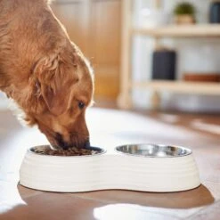 Frisco Stainless Steel Double Dog Bowls With Melamine Stand 8 Frisco Stainless Steel Double Dog Bowls With Melamine Stand -Frisco 232092 PT7. AC SS1800 V1693015855