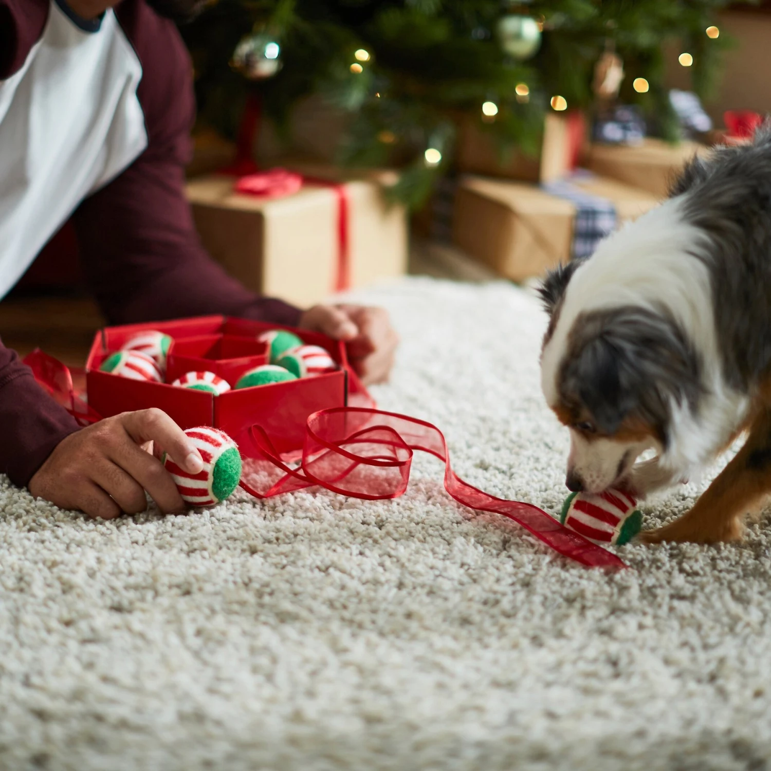 Frisco Holiday Wreath Fetch Squeaky Tennis Ball Dog Toy 5 Frisco Holiday Wreath Fetch Squeaky Tennis Ball Dog Toy - Image 5