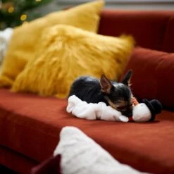 Frisco Holiday Snowman Bungee Plush Squeaky Dog Toy 9 Frisco Holiday Snowman Bungee Plush Squeaky Dog Toy -Frisco 233221 PT3. AC SS1800 V1695648147