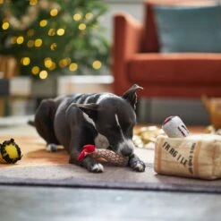 Frisco Holiday Fragile Box Hide & Seek Puzzle Plush Squeaky Dog Toy 11 Frisco Holiday Fragile Box Hide & Seek Puzzle Plush Squeaky Dog Toy -Frisco 233274 PT4. AC SS1800 V1665759767