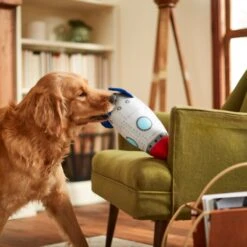 Frisco Ballistic Nylon Plush Squeaky Rocket Ship Dog Toy 5 Frisco Ballistic Nylon Plush Squeaky Rocket Ship Dog Toy -Frisco 233581 PT3. AC SS1800 V1600973767