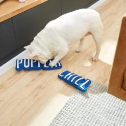 Frisco Zoomies & Chill Pupflix & Chill Plush Squeaky Dog Toy, 2 Count -Frisco 241693 PT6. AC SS1800 V1610768429