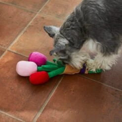 Frisco Valentine Rose Bouquet Plush Squeaky Dog Toy 6 Frisco Valentine Rose Bouquet Plush Squeaky Dog Toy -Frisco 241733 PT6. AC SS1800 V1607990908