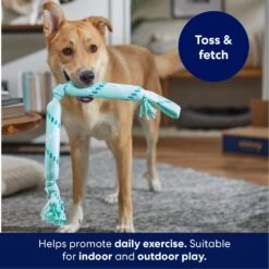 Frisco Double Fun Rope Crinkle Fetch Dog Toy 8 Frisco Double Fun Rope Crinkle Fetch Dog Toy -Frisco 242137 PT3. AC SS1800 V1695242178