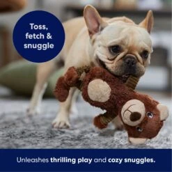 Frisco Bear Plush Squeaky Dog Toy 10 Frisco Bear Plush Squeaky Dog Toy -Frisco 245924 PT4. AC SS1800 V1695760929