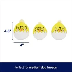 Frisco Spring Easter Egg Hide & Seek Plush Squeaky Dog Toy -Frisco 248037 PT2. AC SS1800 V1700243718