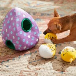 Frisco Spring Easter Egg Hide & Seek Plush Squeaky Dog Toy -Frisco 248037 PT5. AC SS1800 V1608763654